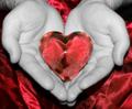 Bild von the_power_within008