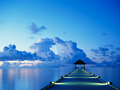 naresak's photo
