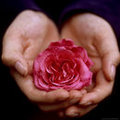 maharani's photo